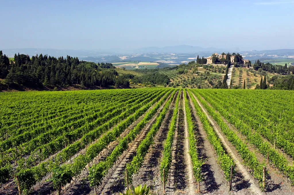 Tenuta CastelGiocondo