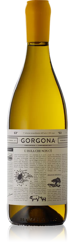 Gorgona