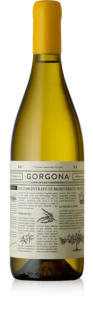 Gorgona